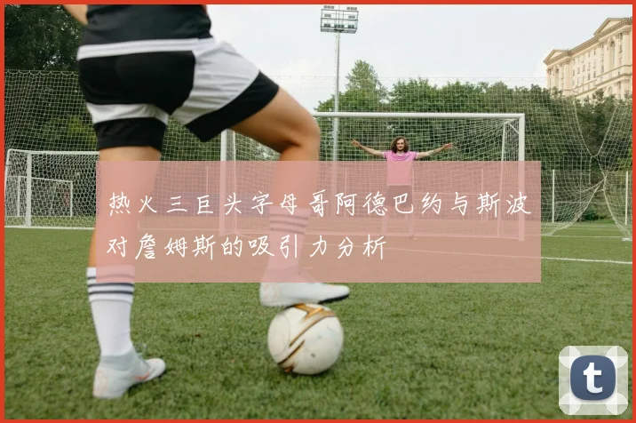 热火三巨头字母哥阿德巴约与斯波对詹姆斯的吸引力分析
