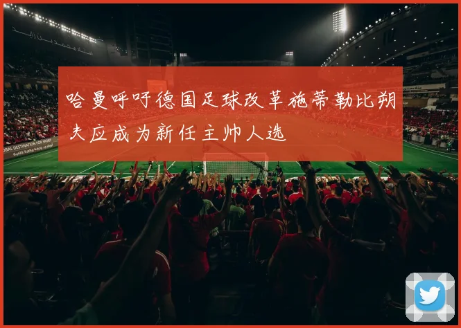哈曼呼吁德国足球改革施蒂勒比朔夫应成为新任主帅人选